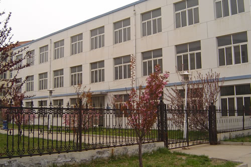 �T������